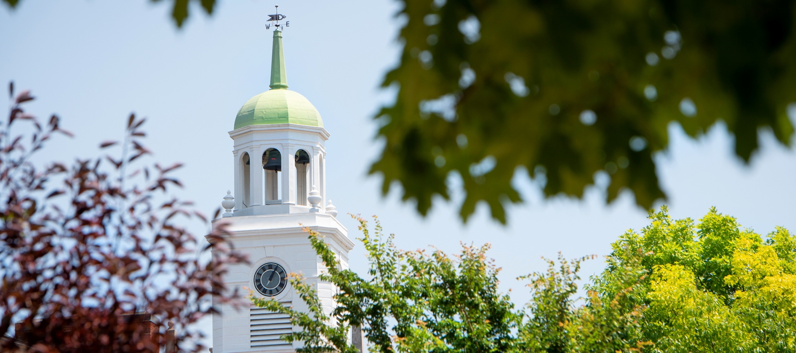 Rockwell tower through the trees